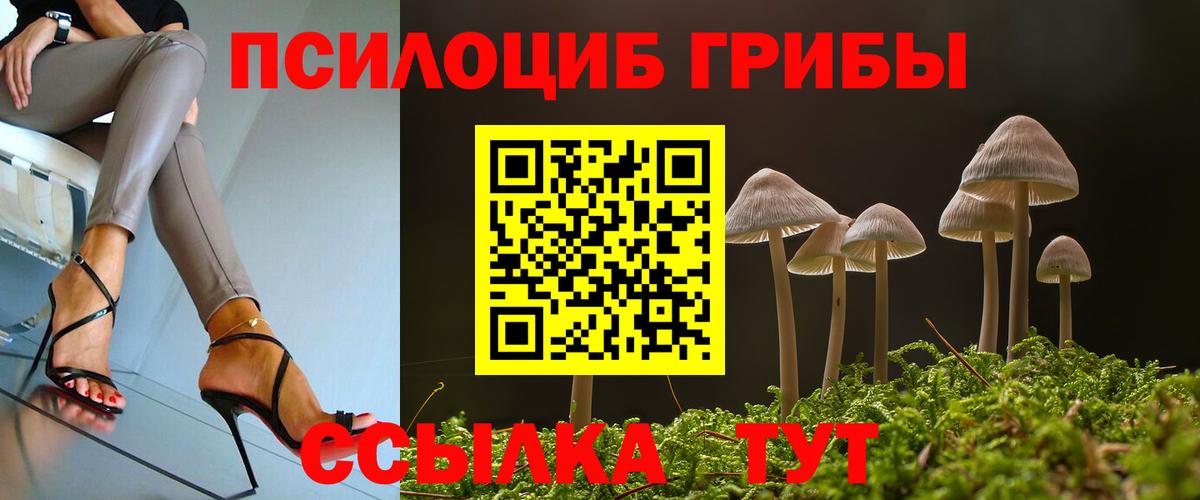 Псилоцибиновые грибы мицелий  Вход с VPN  Отрадный 